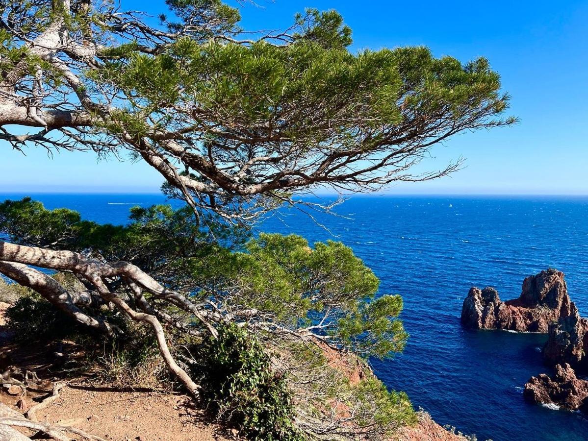 Les Cactus Frejus Plage エクステリア 写真