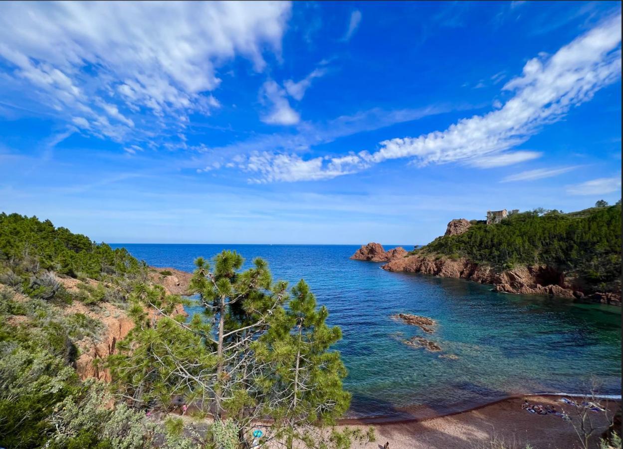Les Cactus Frejus Plage エクステリア 写真