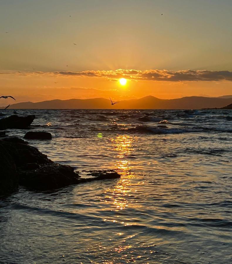 Les Cactus Frejus Plage エクステリア 写真