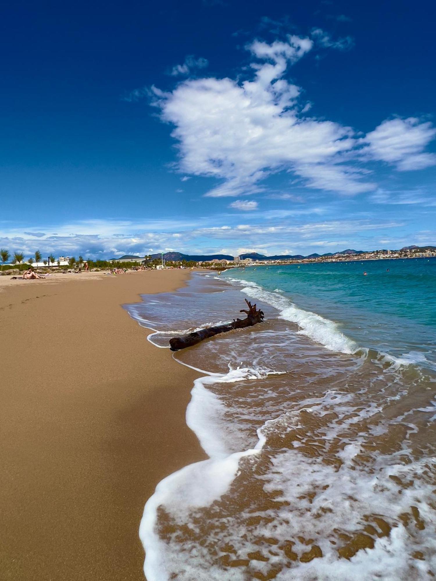 Les Cactus Frejus Plage エクステリア 写真