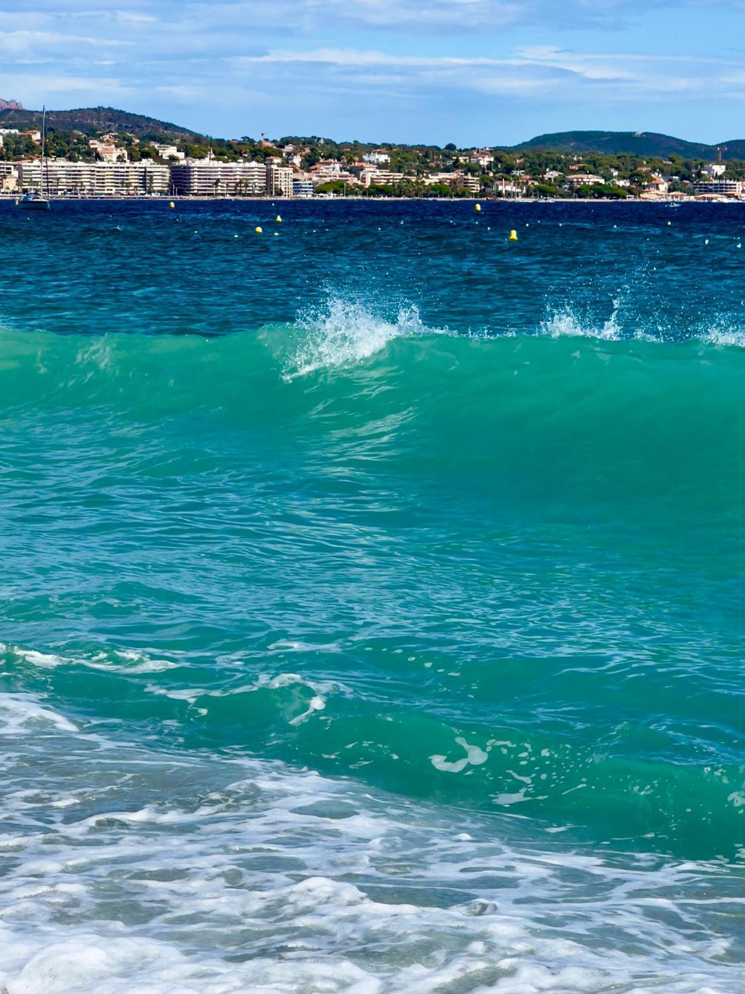 Les Cactus Frejus Plage エクステリア 写真